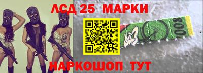 гашик Можга