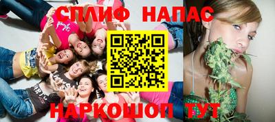 гашик Можга