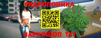 гашик Можга