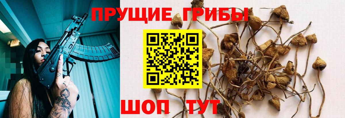 Сызрань  Галлюциногенные грибы мухоморы  Вход с VPN 